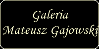 galeriamateuszgajowski.png