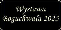 wystawaboguchwala2023.png