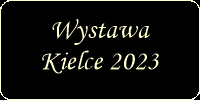 wystawakielce2023.png