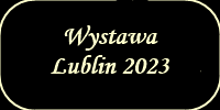 wystawalublin2023.png