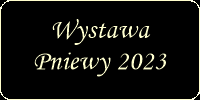 wystawapniewy2023.png