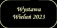 wystawawielun2023.png