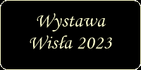 wystawawisla2023.png