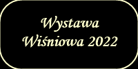 wystawawisniowa2022galeria.png