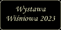 wystawawisniowa2023.png